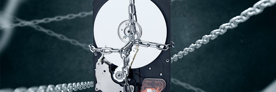 5 Things businesses should do to protect data
